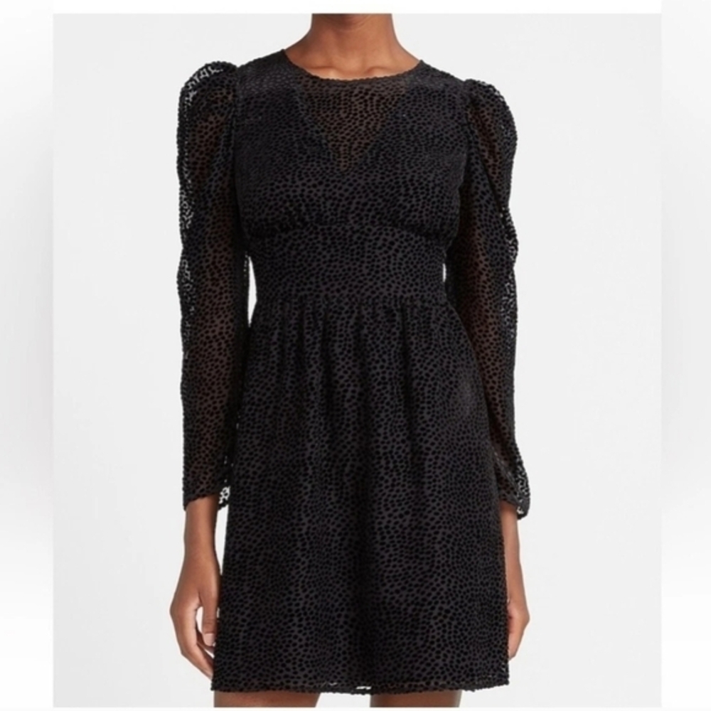 Express •‎ Black Velvet Polka Dot Dress